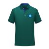 SSC Napoli Basic Grün Polo Hemd