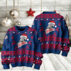 Nürnberg Ice Tigers Fan Edition Weihnachtspullover im neuen Design – Individueller Name